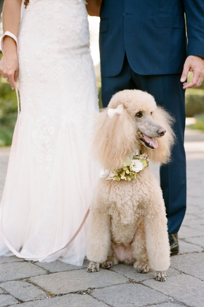 san-ysidro-ranch-wedding-pink-lace-poodle-inspiration30