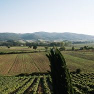 Regina and Ryan’s wedding in Tuscany