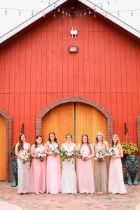 Ellen and Michael's wedding at Crooked Willow Farms